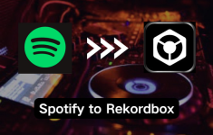 1754966277967.png 1754966277967.png