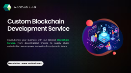 Custom Blockchain Development Service (1).png